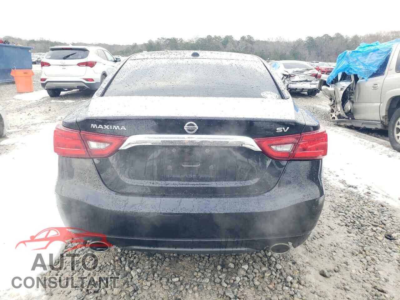 NISSAN MAXIMA 2017 - 1N4AA6AP1HC454189