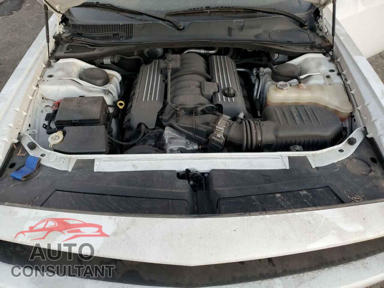 DODGE CHALLENGER 2019 - 2C3CDZFJXKH546443