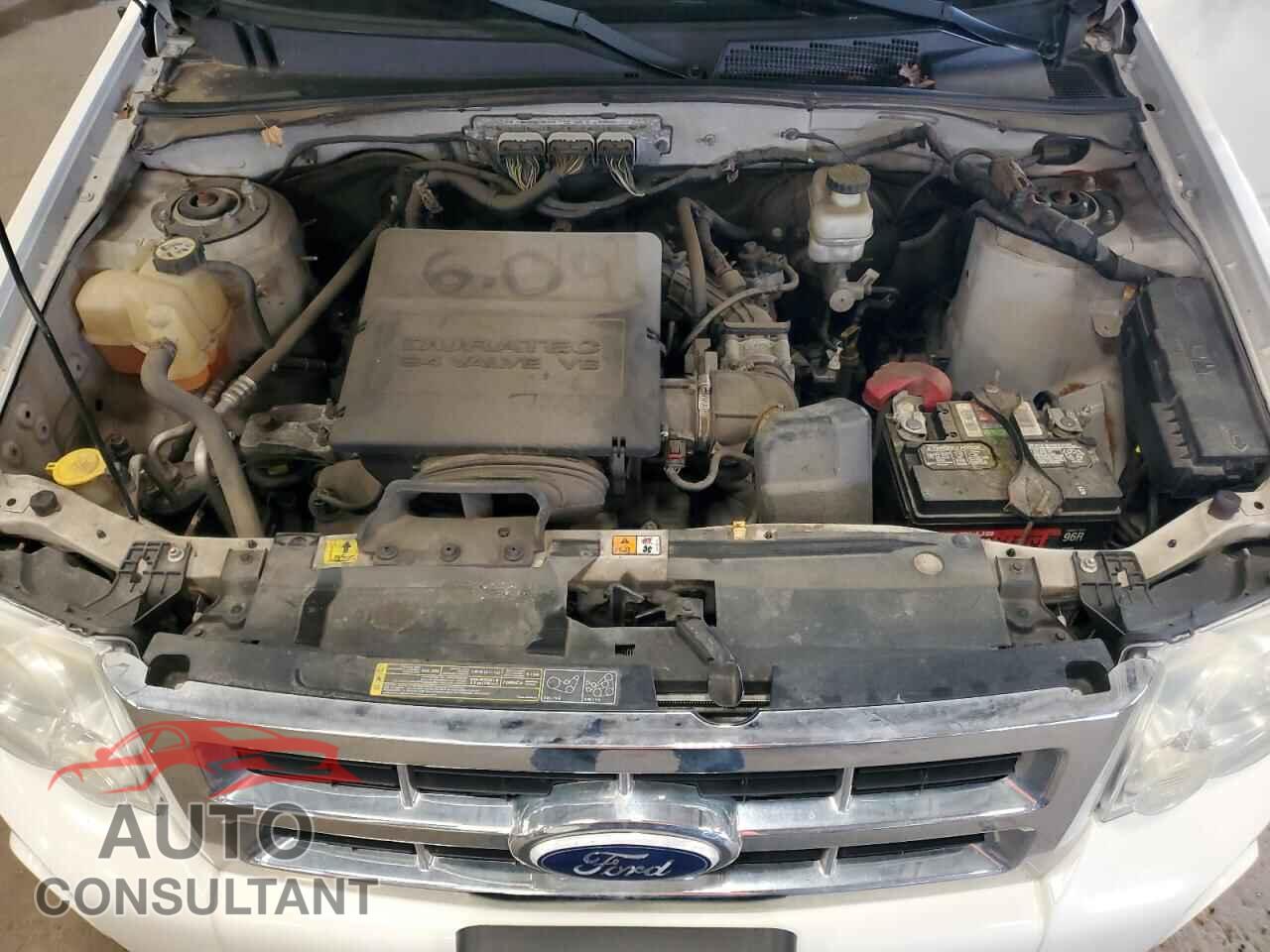 FORD ESCAPE 2010 - 1FMCU0DG4AKA80641