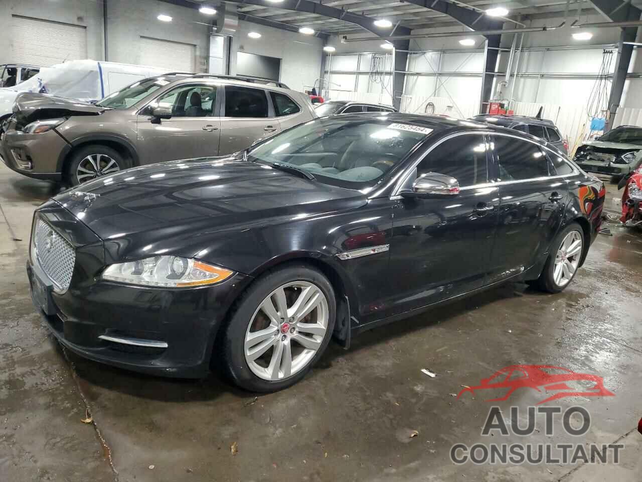 JAGUAR XJ 2013 - SAJWJ2GD8D8V45447