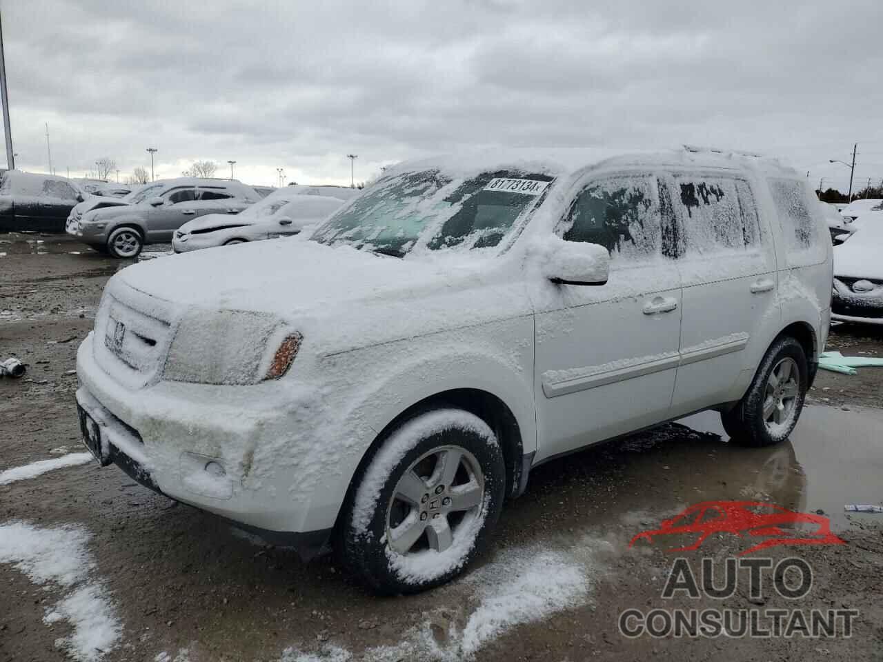 HONDA PILOT 2009 - 5FNYF38559B016020