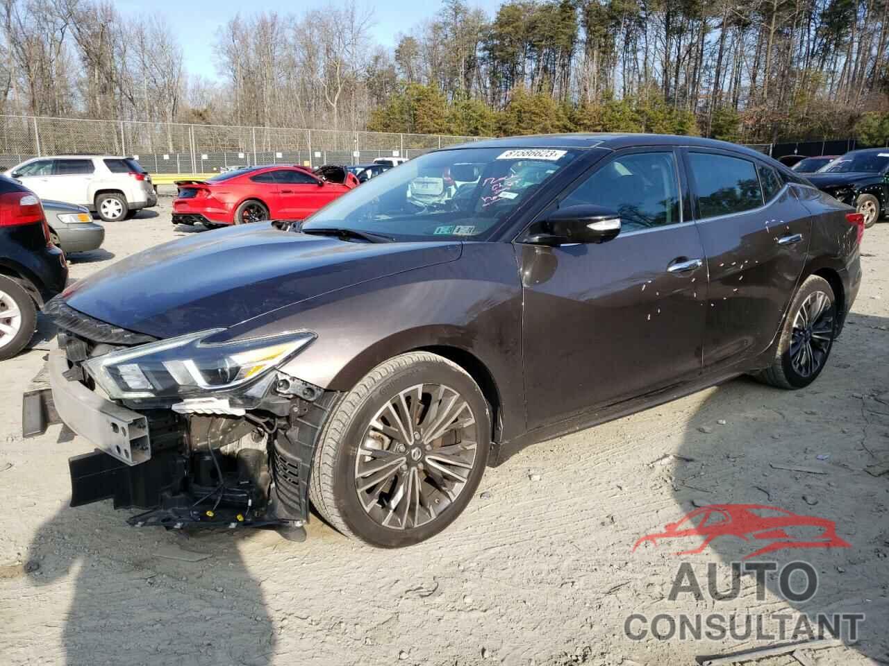 NISSAN MAXIMA 2016 - 1N4AA6APXGC399076