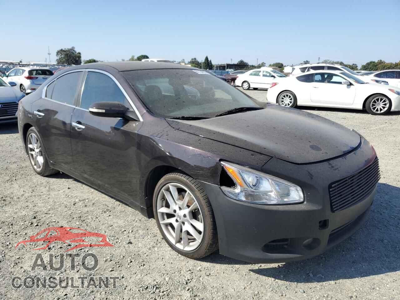 NISSAN MAXIMA 2011 - 1N4AA5AP2BC848012