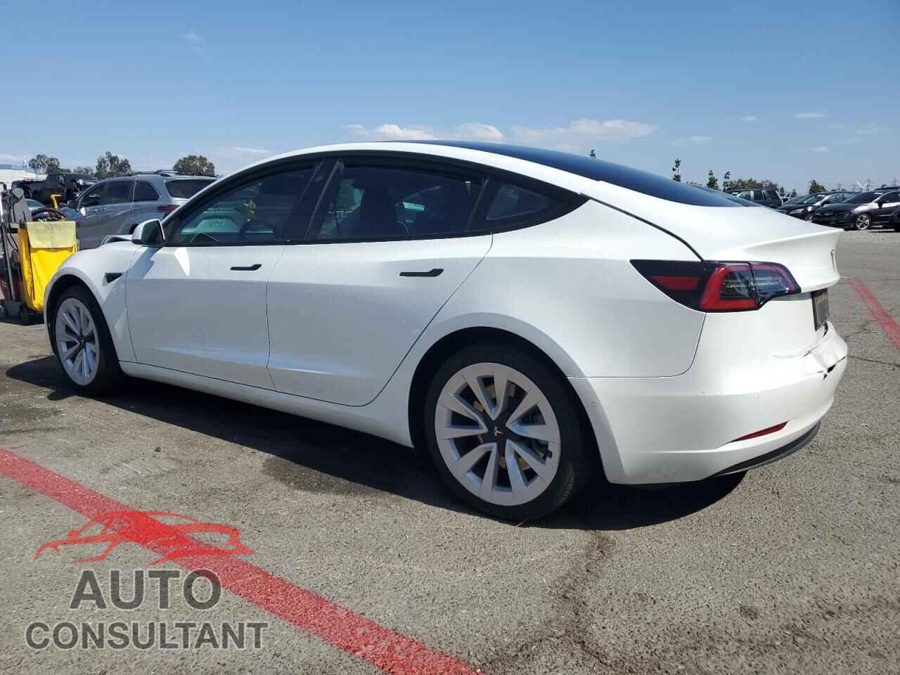 TESLA MODEL 3 2021 - 5YJ3E1EA0MF029351