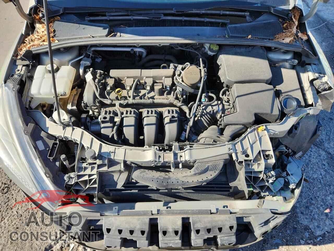 FORD FOCUS 2016 - 1FADP3F29GL225443