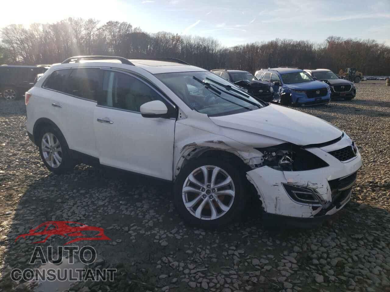 MAZDA CX-9 2011 - JM3TB2DA7B0302417