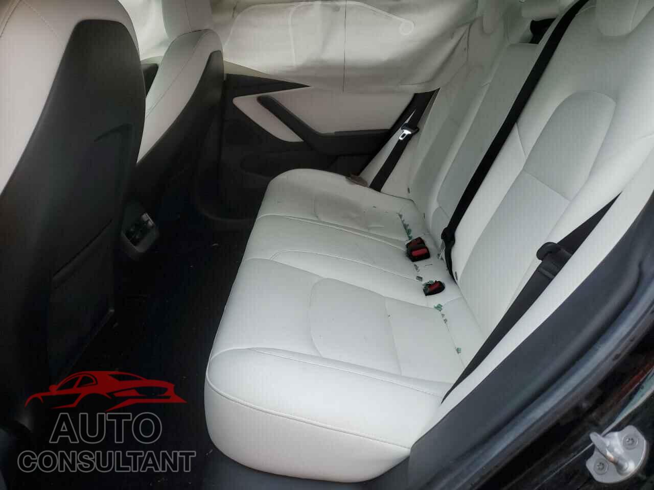 TESLA MODEL 3 2019 - 5YJ3E1EB2KF365833