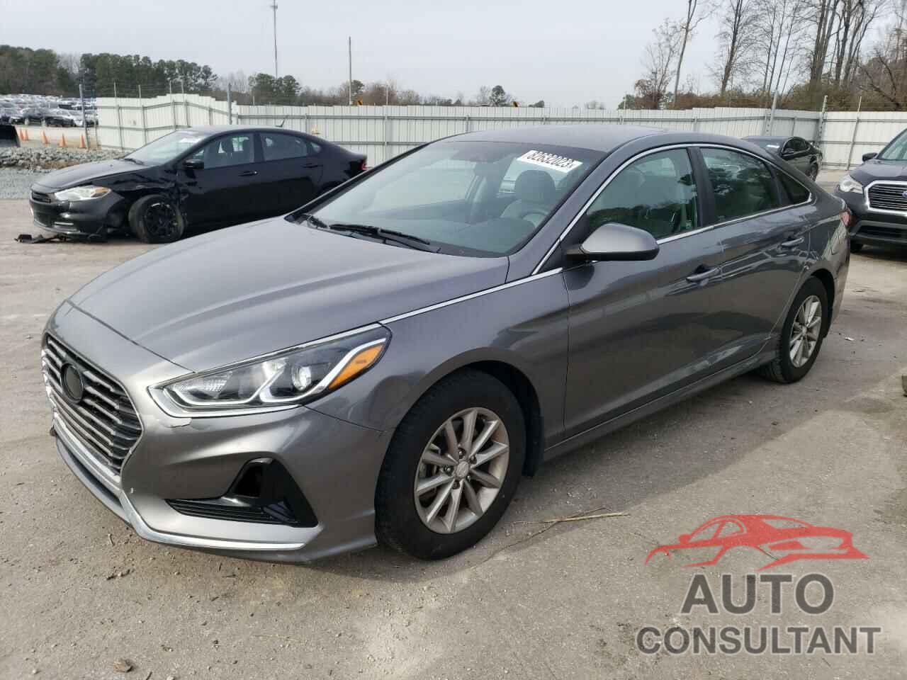HYUNDAI SONATA 2019 - 5NPE24AF9KH788700