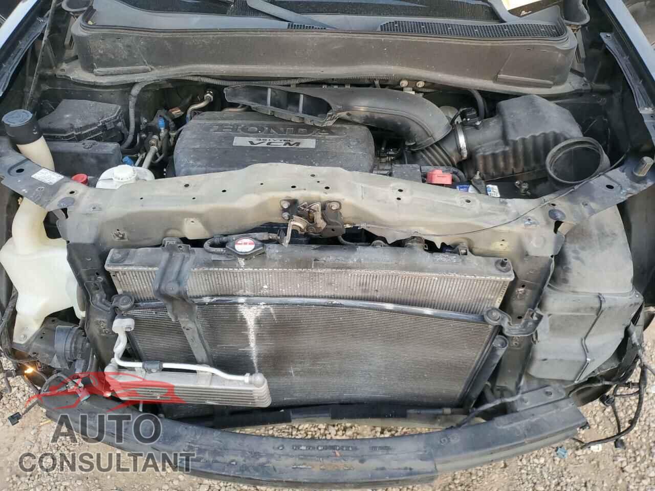 HONDA PILOT 2010 - 5FNYF3H99AB020904