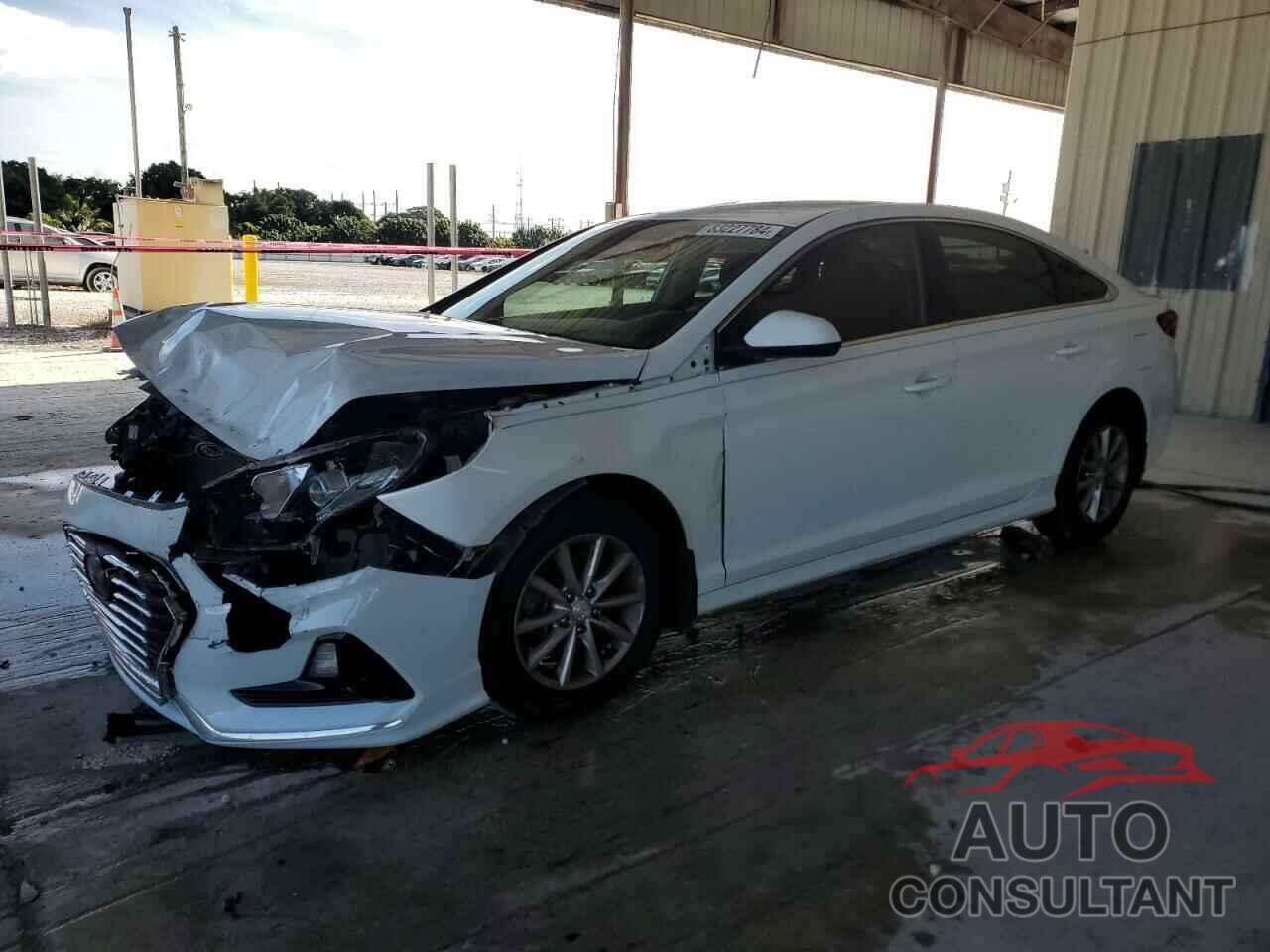 HYUNDAI SONATA 2019 - 5NPE24AF2KH797285