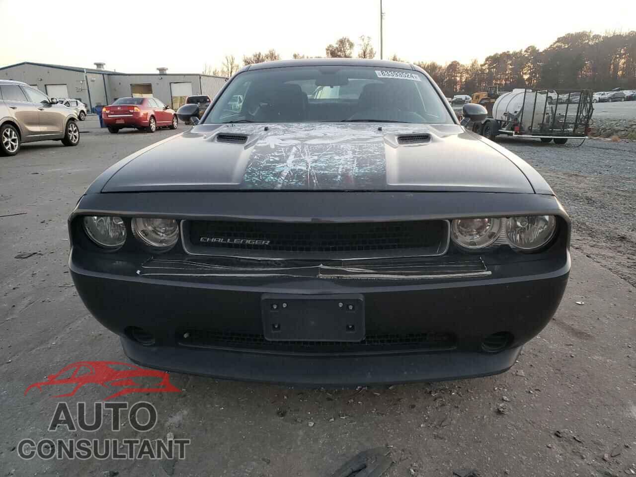 DODGE CHALLENGER 2013 - 2C3CDYAG7DH607756