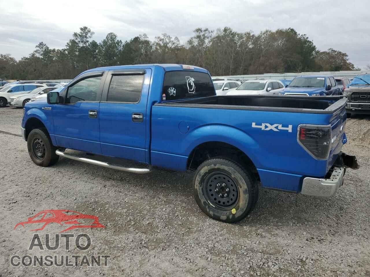 FORD F-150 2013 - 1FTFW1EF5DFD05962