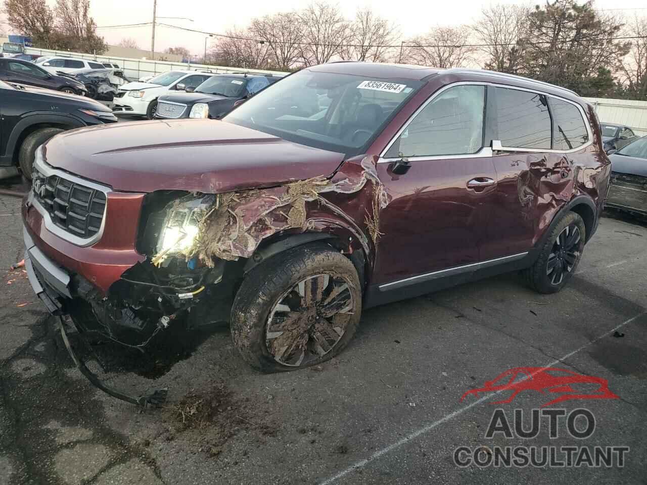 KIA TELLURIDE 2023 - 5XYP5DGC7PG327880