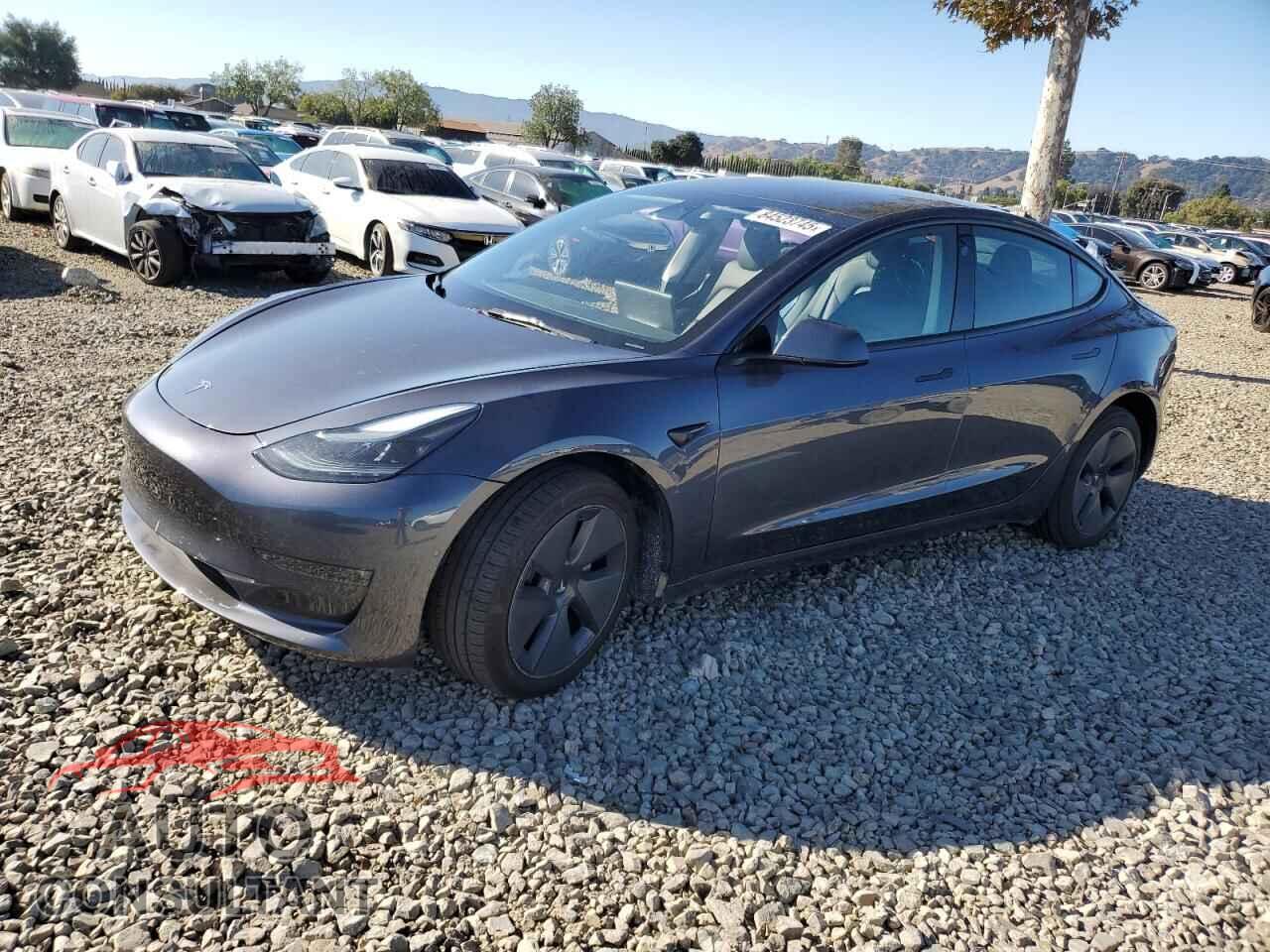 TESLA MODEL 3 2022 - 5YJ3E1EB3NF313633