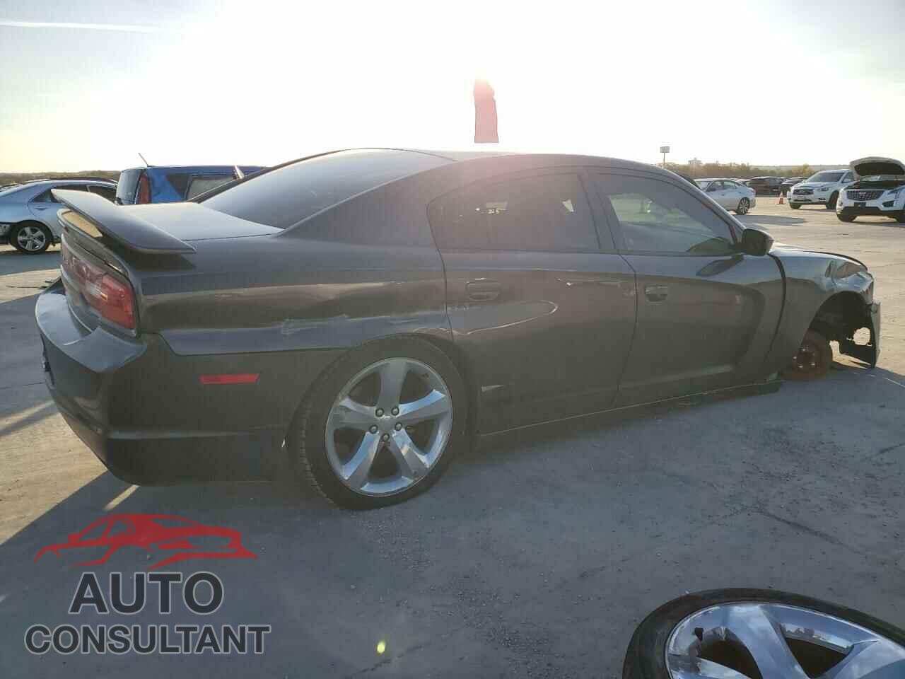 DODGE CHARGER 2014 - 2C3CDXBG3EH359516