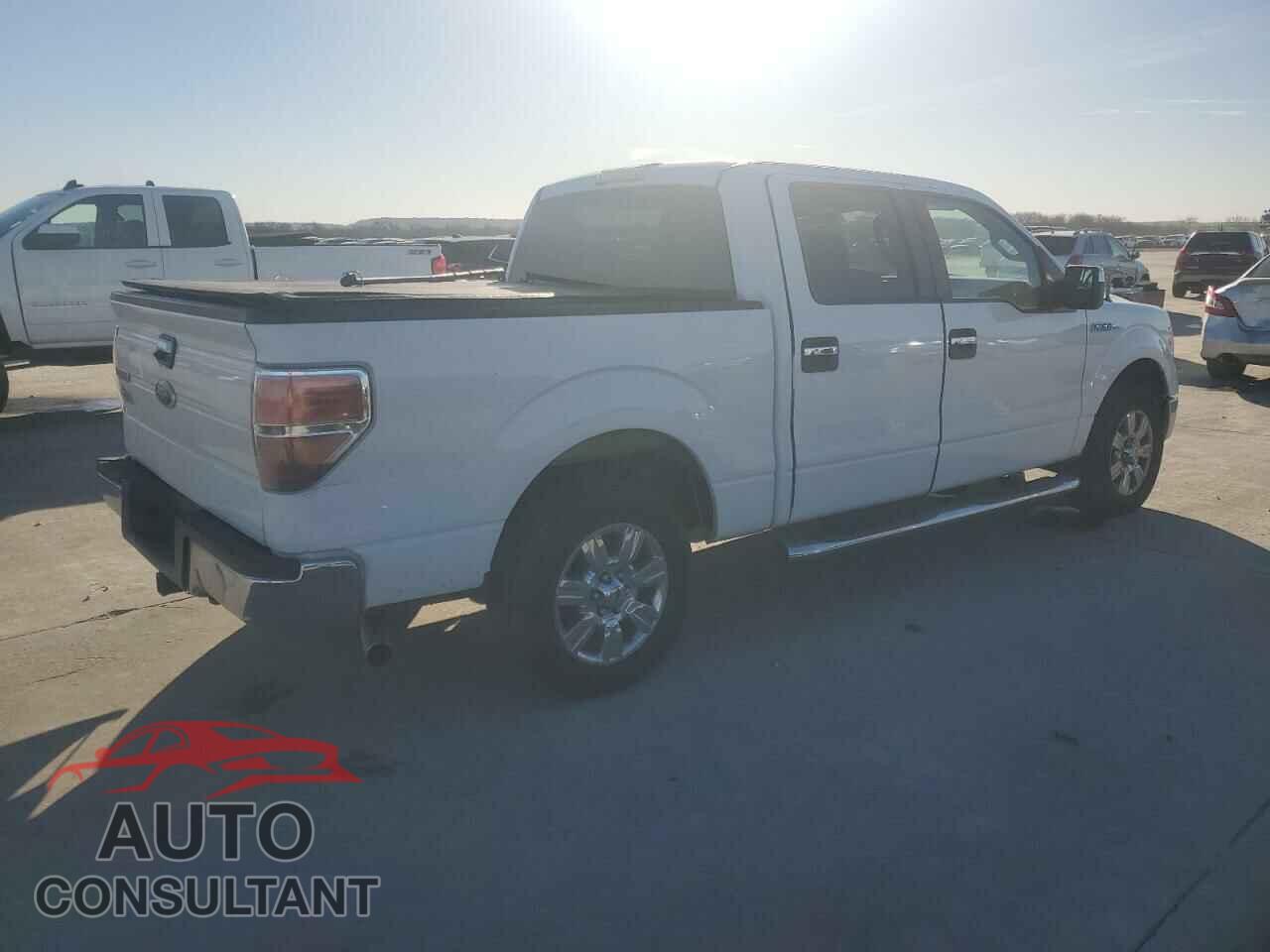 FORD F-150 2010 - 1FTEW1C87AFD03416