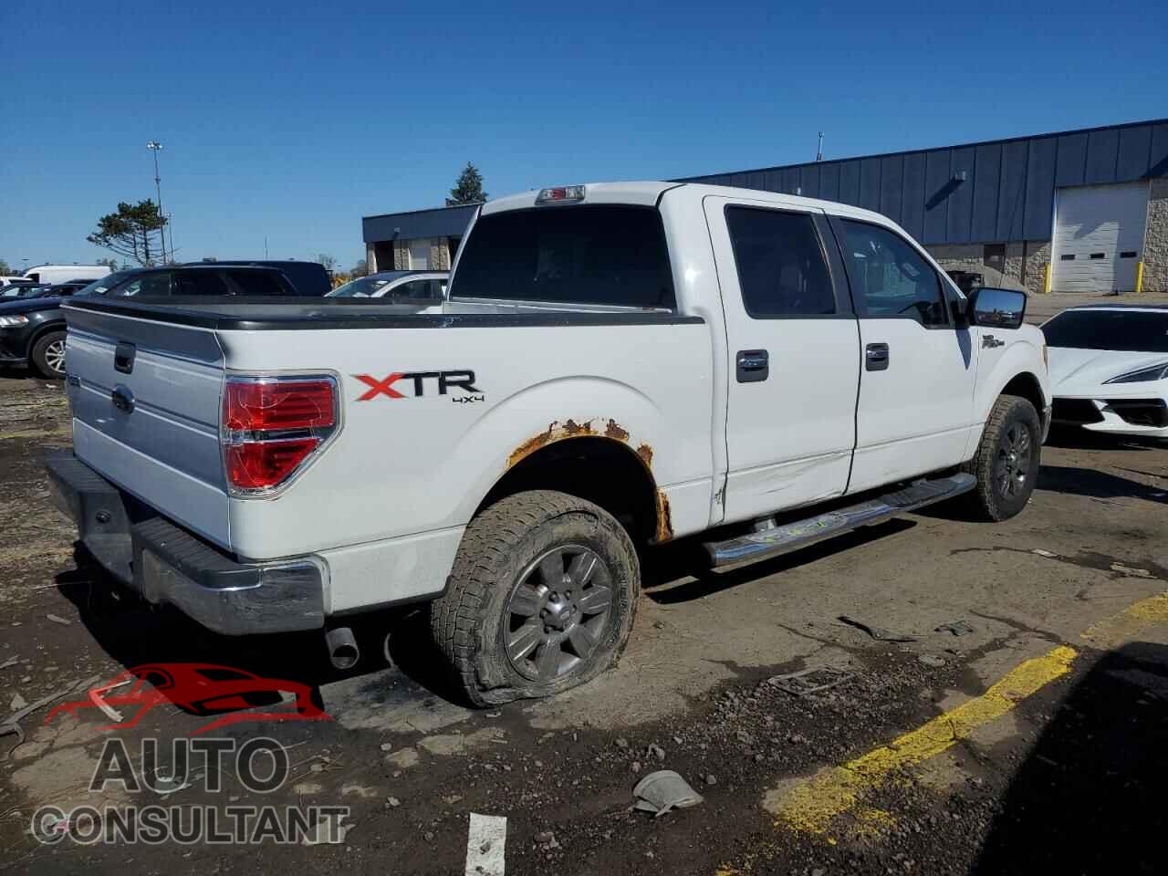 FORD F-150 2010 - 1FTFW1EV9AFA28395