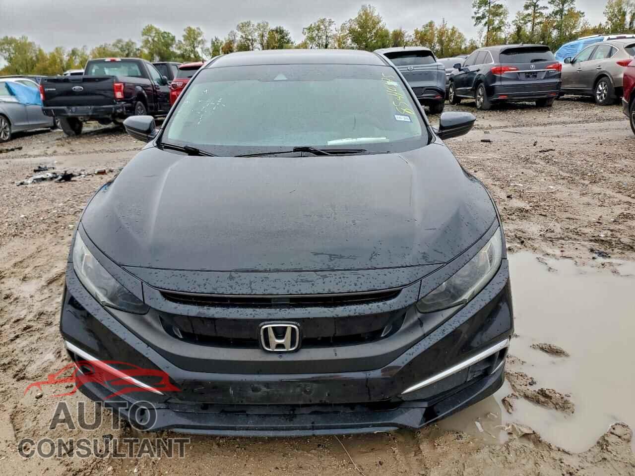 HONDA CIVIC 2019 - 2HGFC2F62KH520161