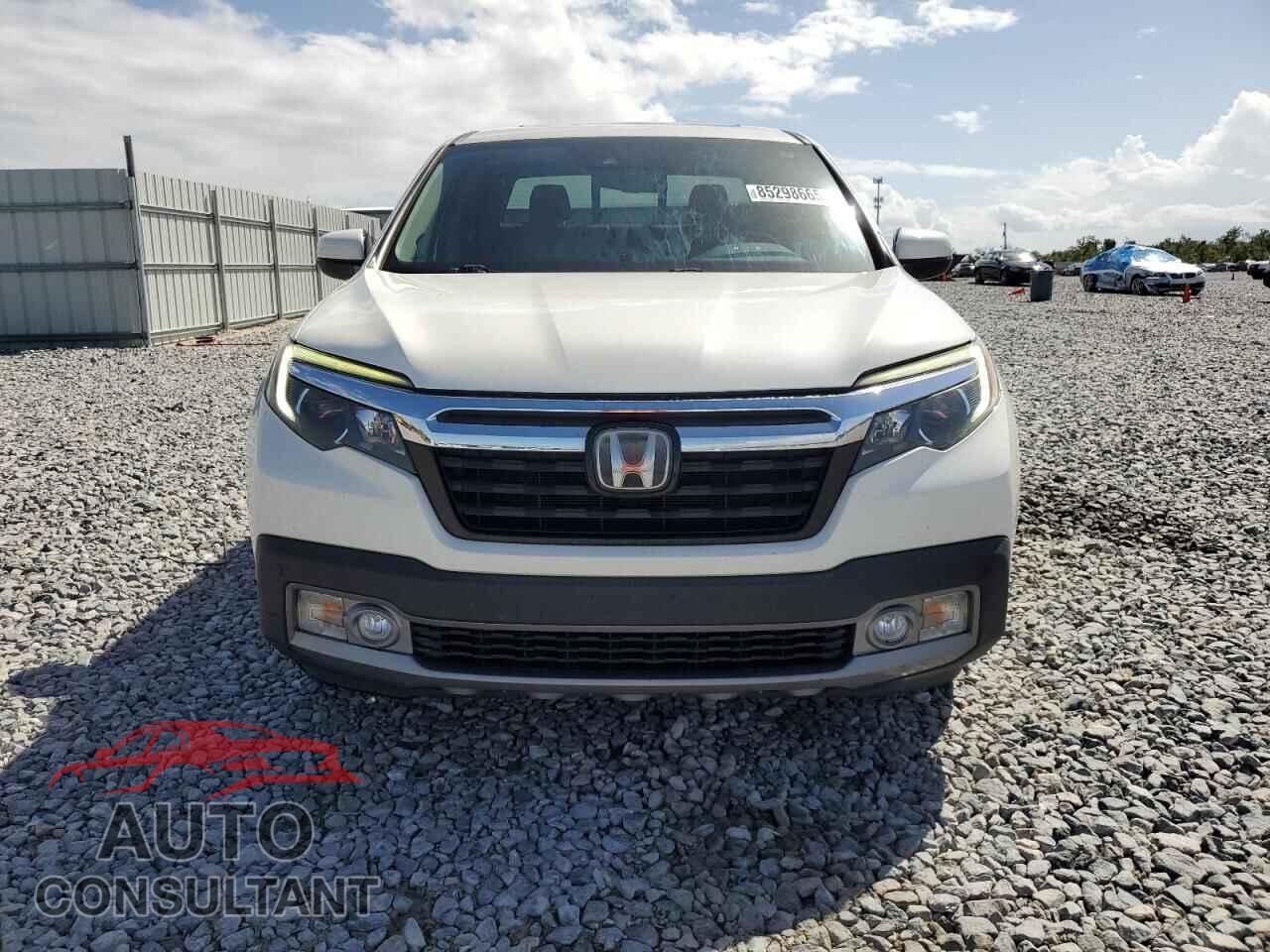 HONDA RIDGELINE 2019 - 5FPYK3F78KB007714