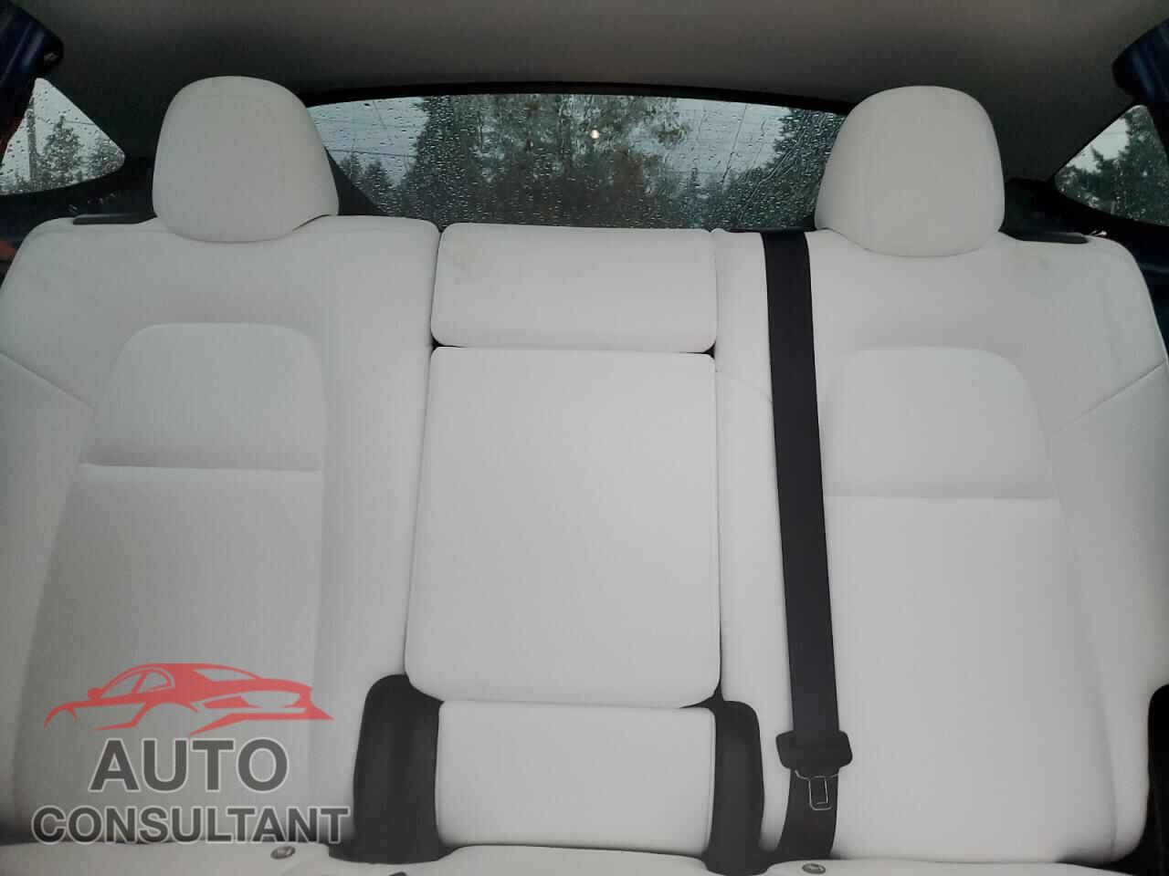 TESLA MODEL Y 2024 - 7SAYGDEE0RF168832