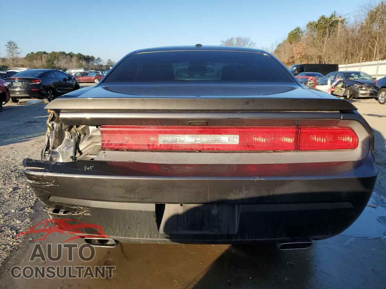DODGE CHALLENGER 2014 - 2C3CDYAG9EH256043