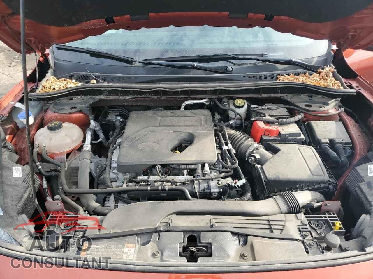 FORD ESCAPE 2020 - 1FMCU9G66LUA73981