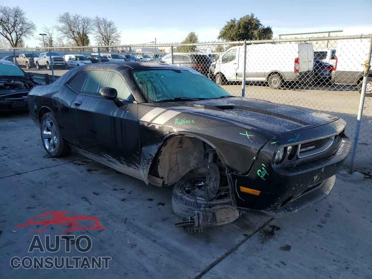 DODGE CHALLENGER 2013 - 2C3CDYBTXDH535222