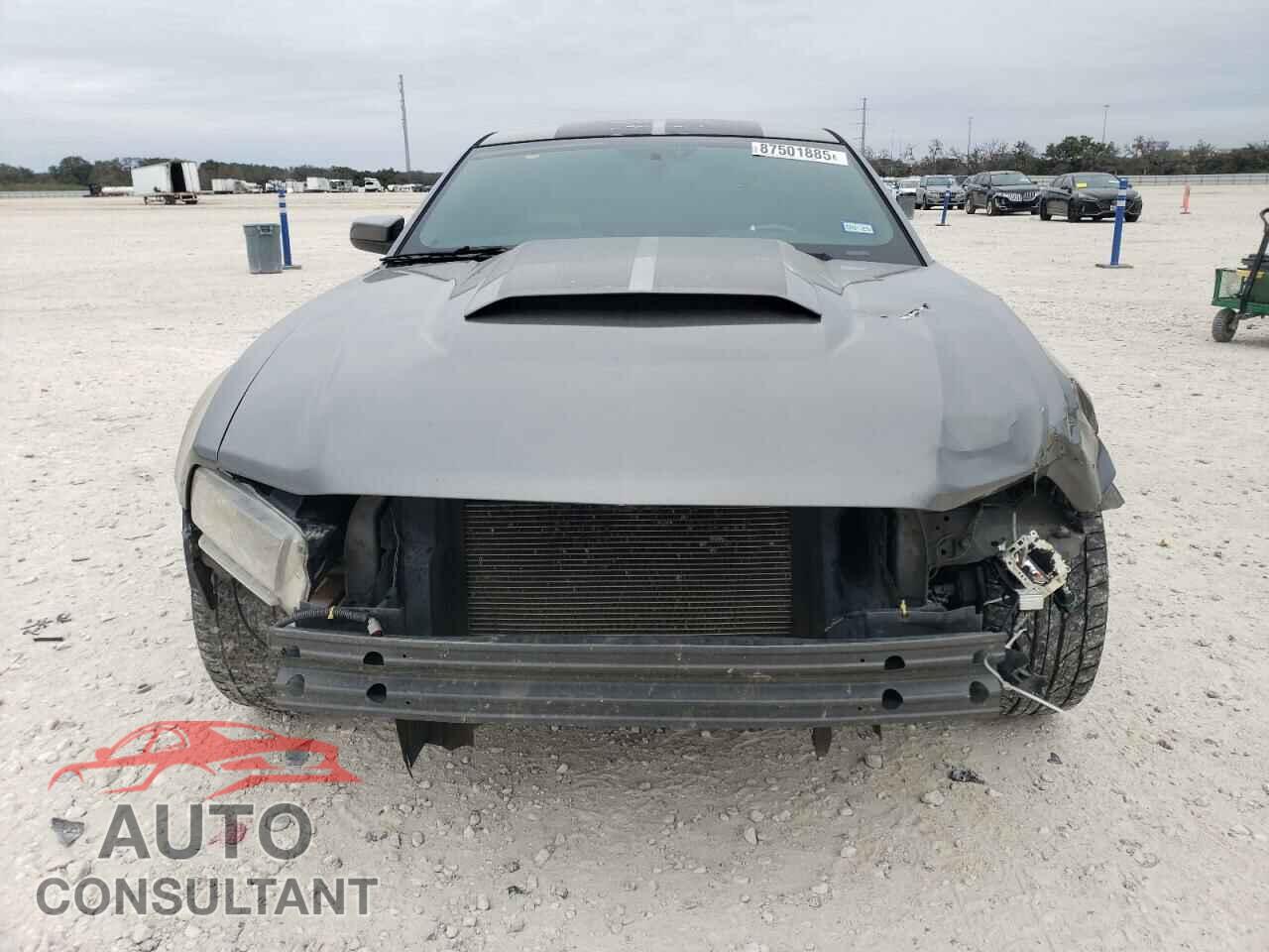FORD MUSTANG 2010 - 1ZVBP8CHXA5158366
