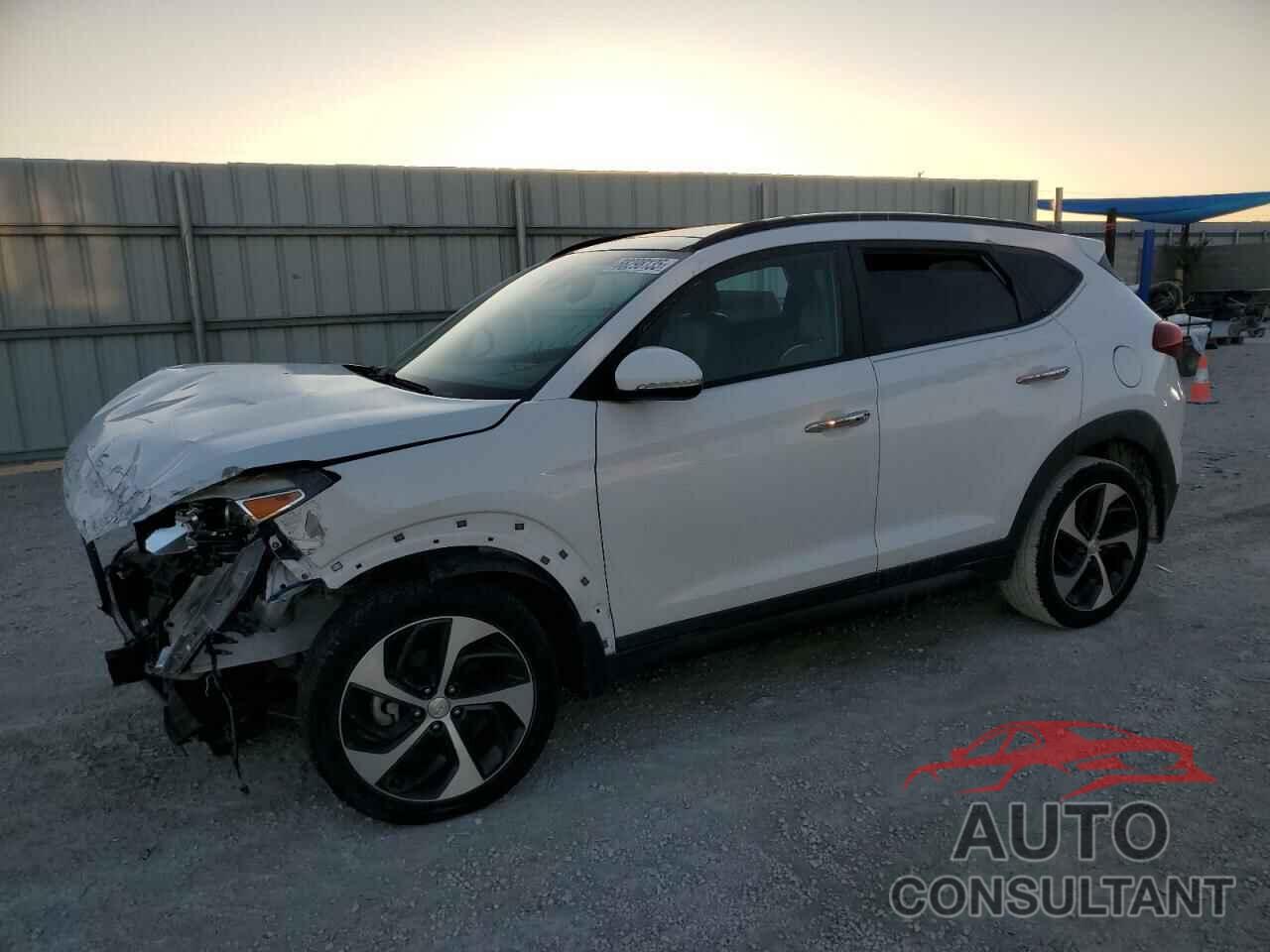 HYUNDAI TUCSON 2016 - KM8J33A25GU161682