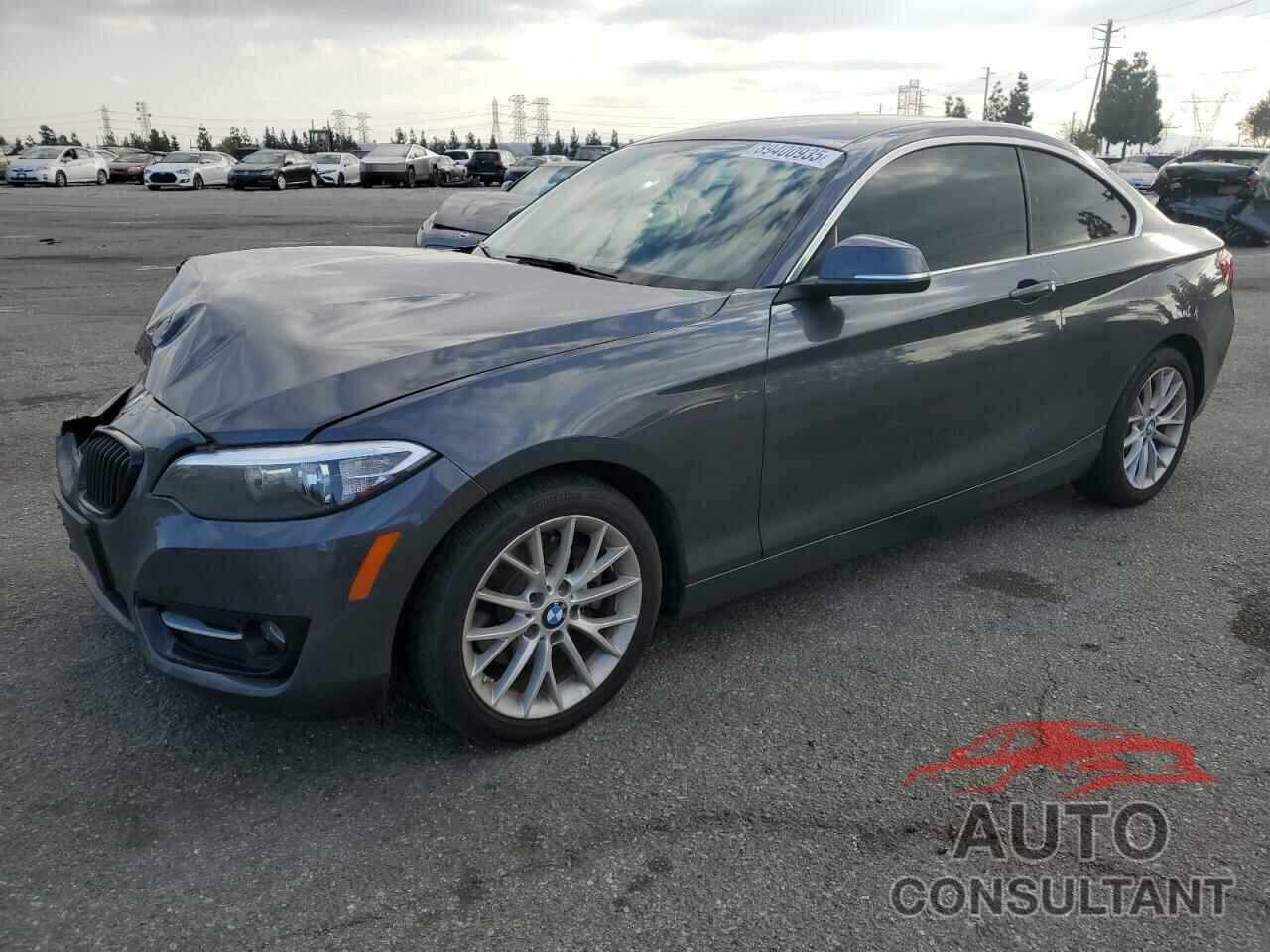 BMW 2 SERIES 2016 - WBA1F9C55GV742290