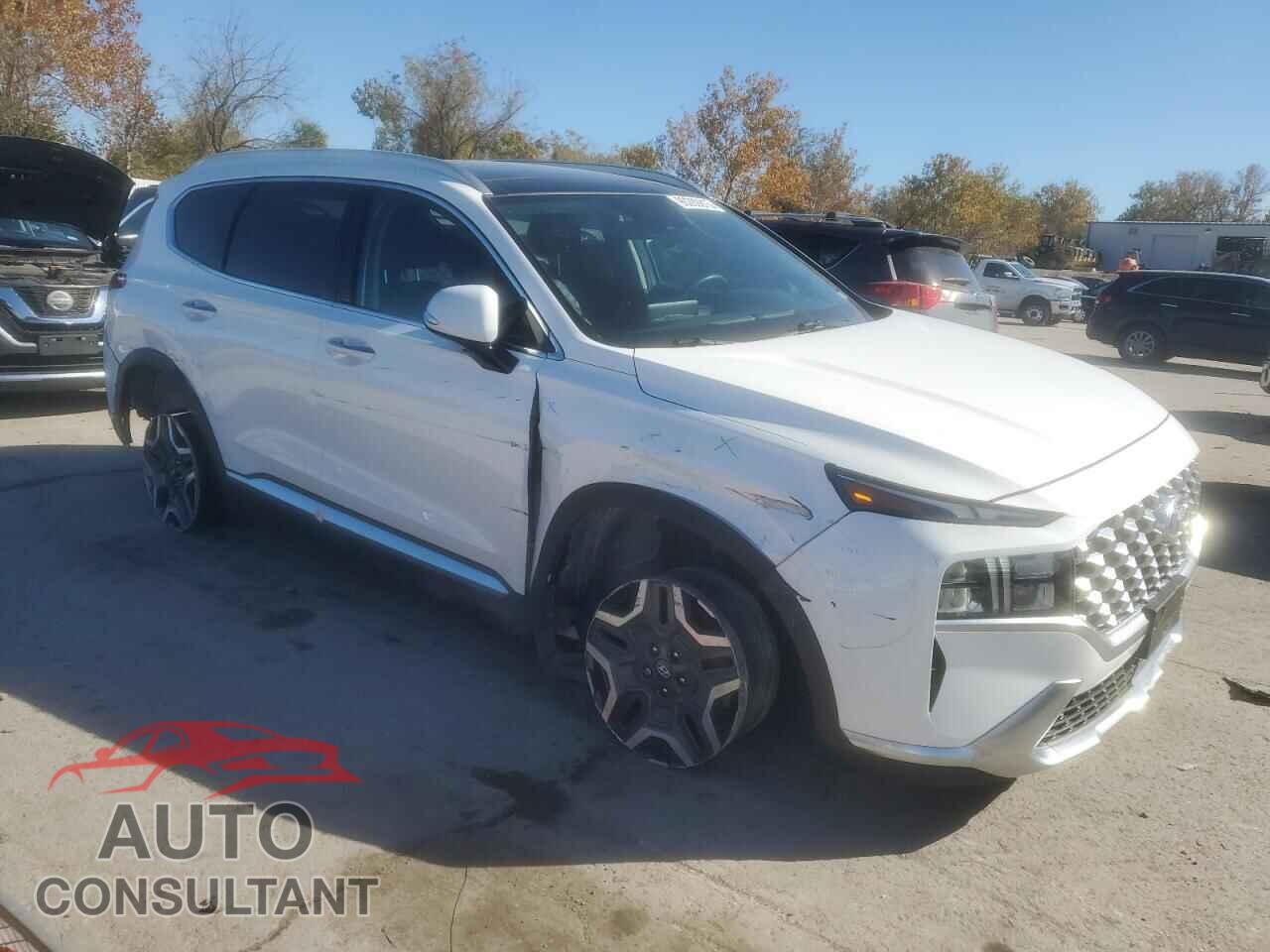 HYUNDAI SANTA FE 2022 - KM8S3DA13NU036629