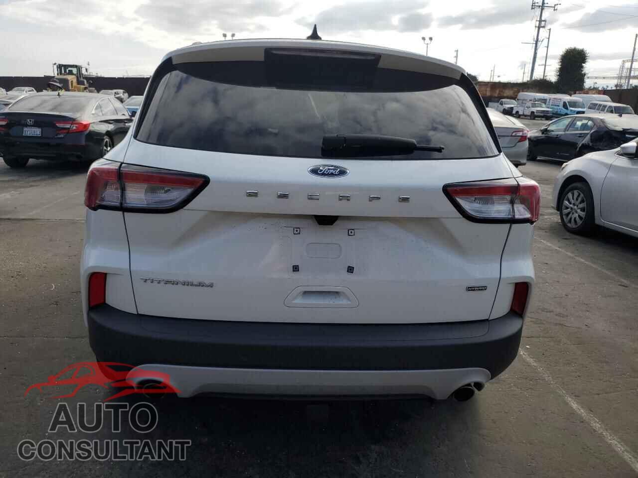 FORD ESCAPE 2020 - 1FMCU0DZ2LUA11343