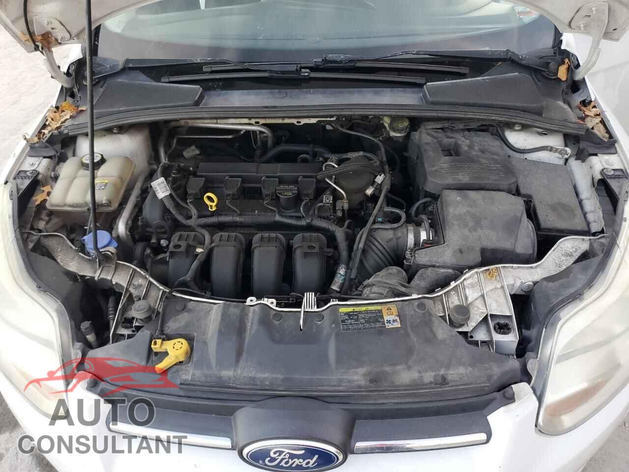 FORD FOCUS 2012 - 1FAHP3E2XCL195043