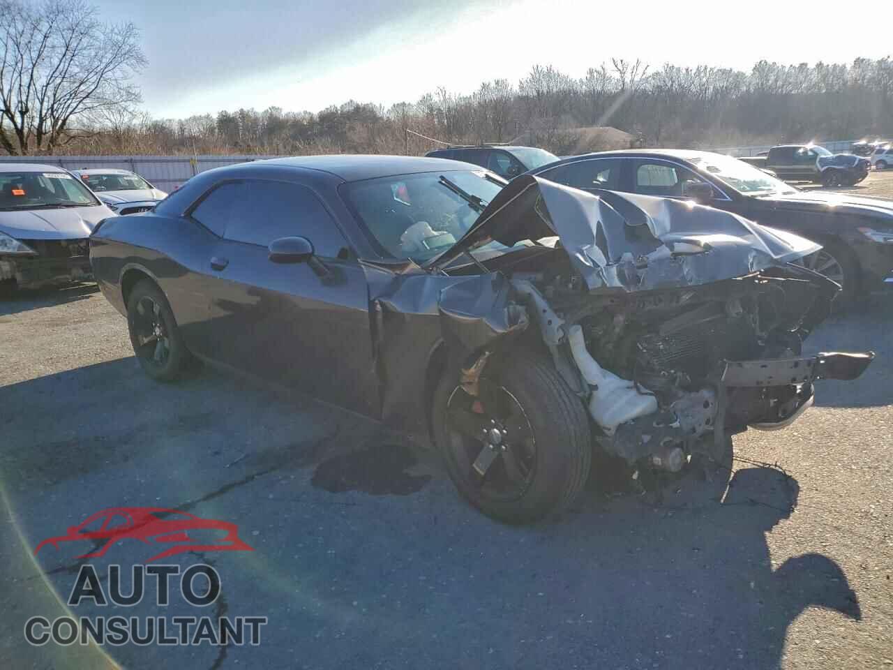 DODGE CHALLENGER 2013 - 2C3CDYAG9DH692518