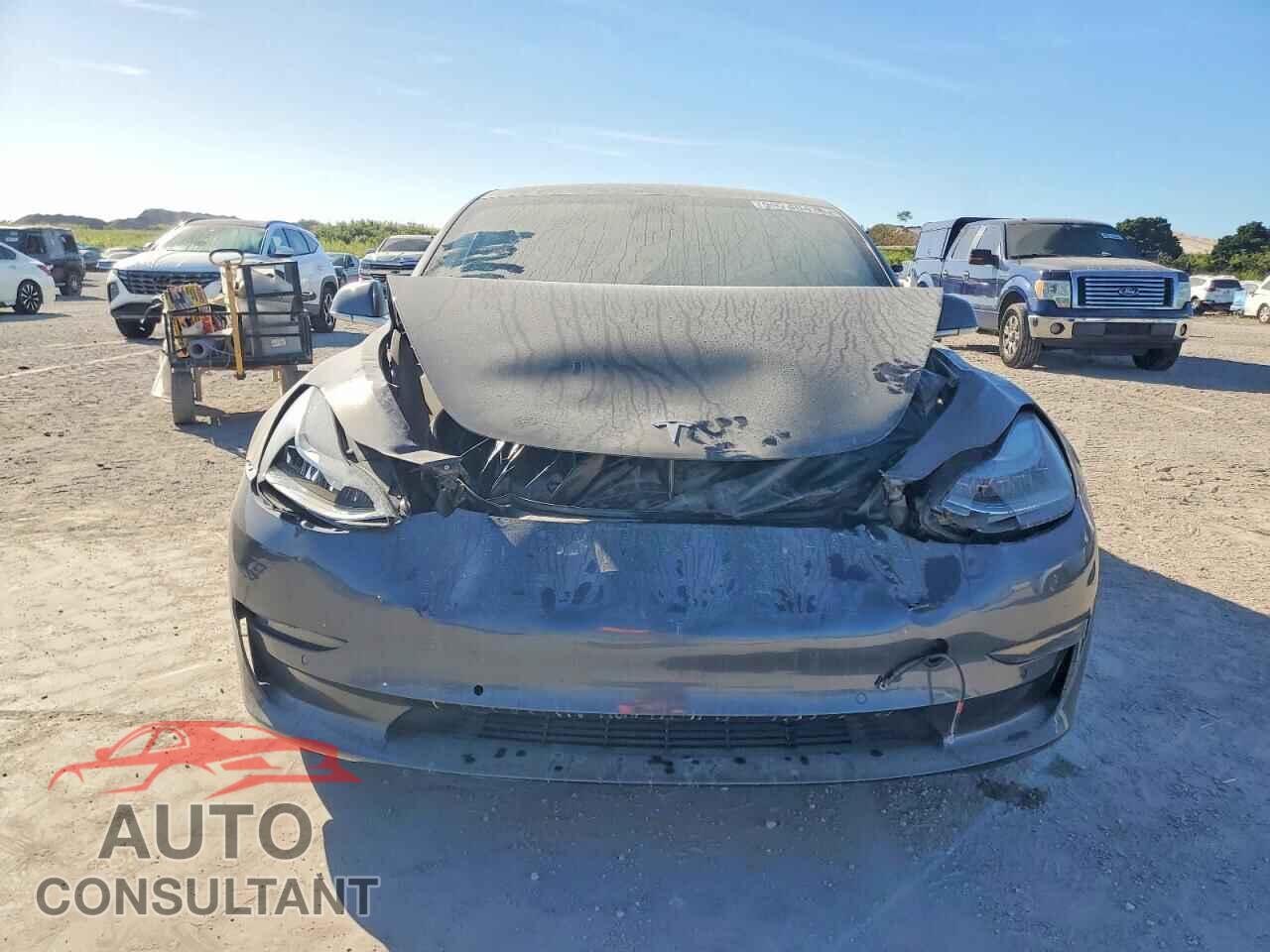 TESLA MODEL 3 2019 - 5YJ3E1EB7KF390923