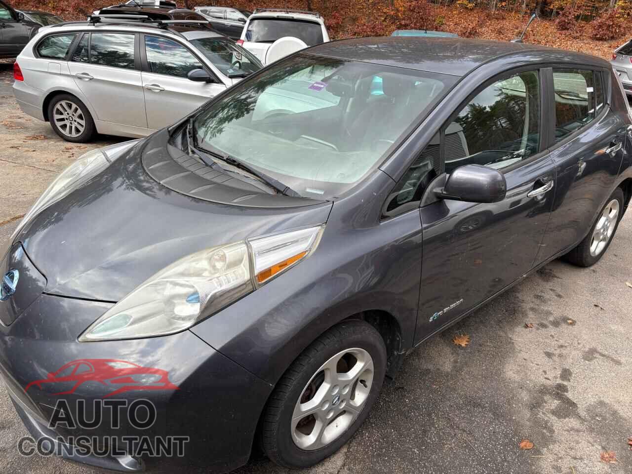 NISSAN LEAF 2013 - 1N4AZ0CP2DC402034