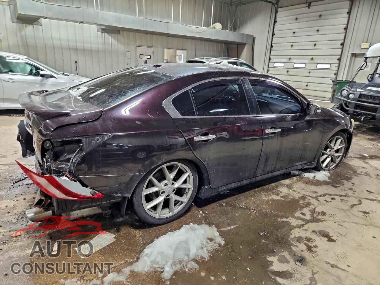 NISSAN MAXIMA 2011 - 1N4AA5AP0BC842984