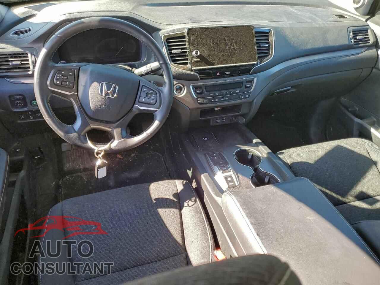 HONDA RIDGELINE 2024 - 5FPYK3F12RB032193
