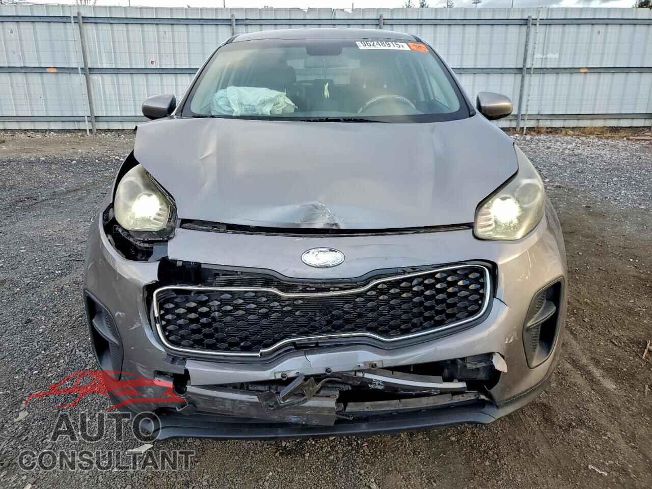 KIA SPORTAGE 2017 - KNDPM3AC2H7299264