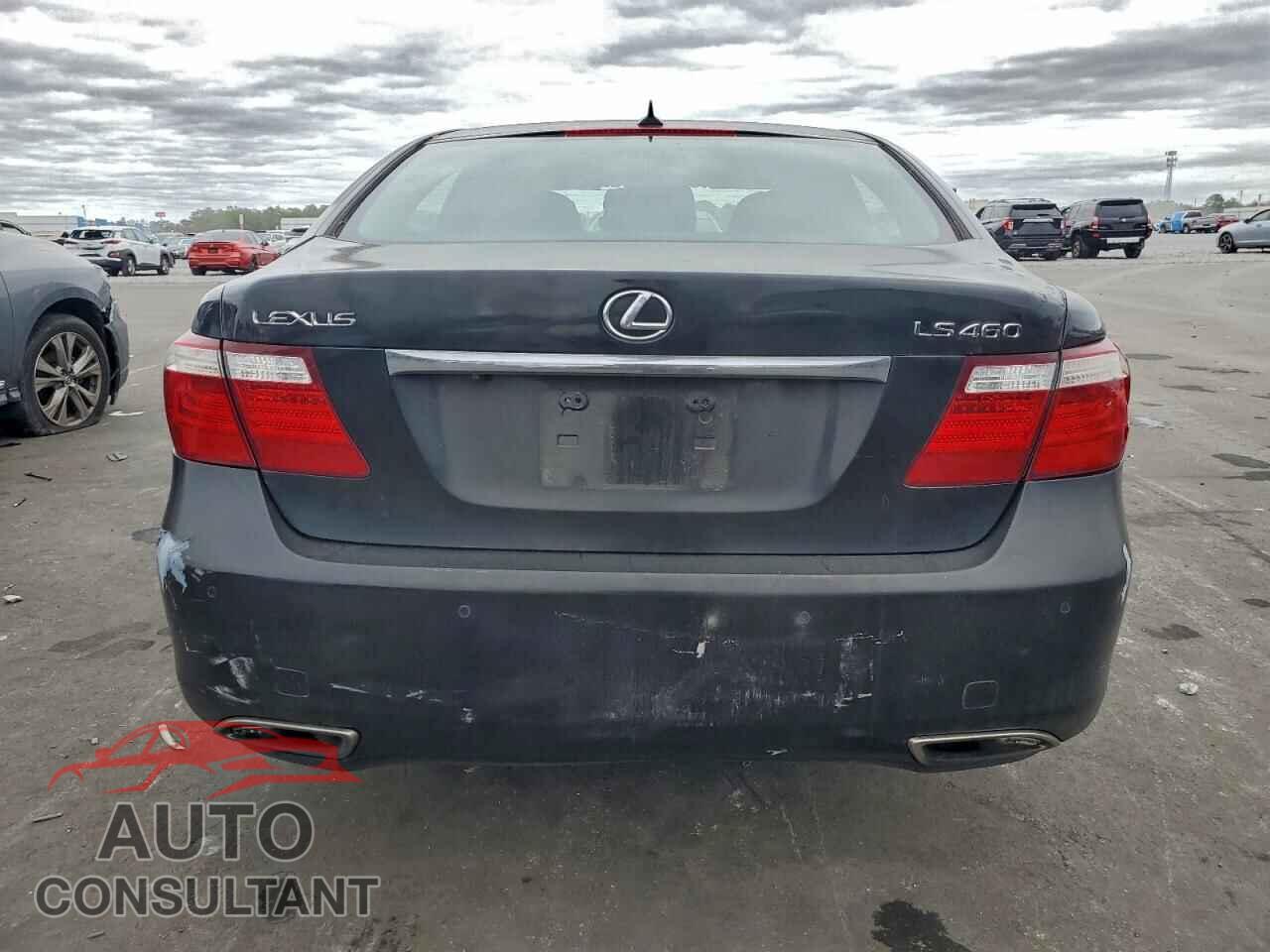 LEXUS LS460 2009 - JTHBL46F995088130