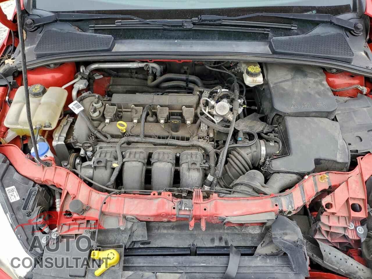 FORD FOCUS 2017 - 1FADP3F29HL254278