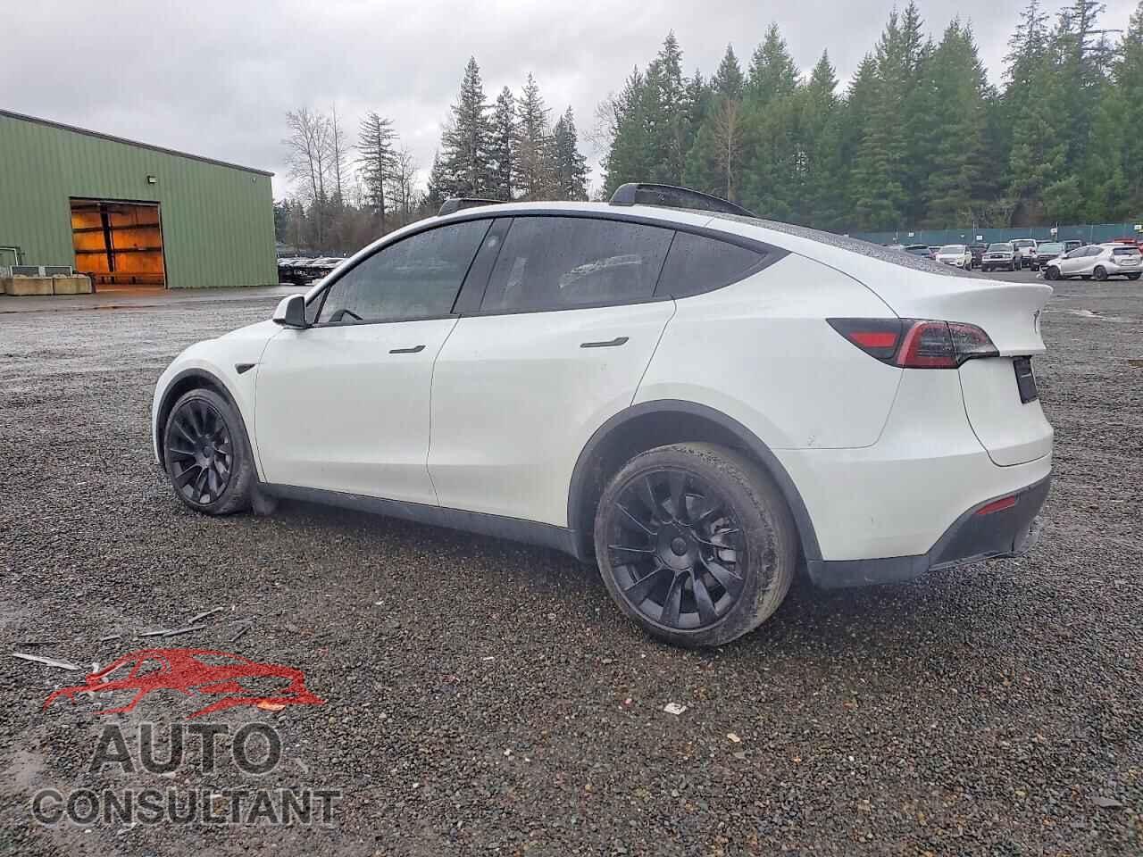 TESLA MODEL Y 2023 - 7SAYGAEE5PF871273