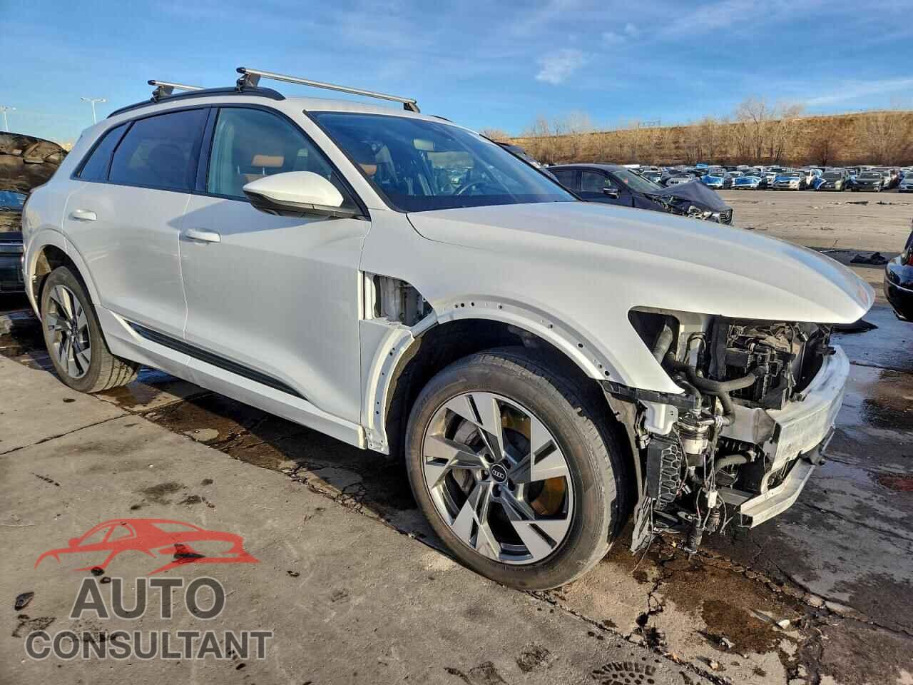 AUDI E-TRON 2021 - WA1AAAGEXMB021399