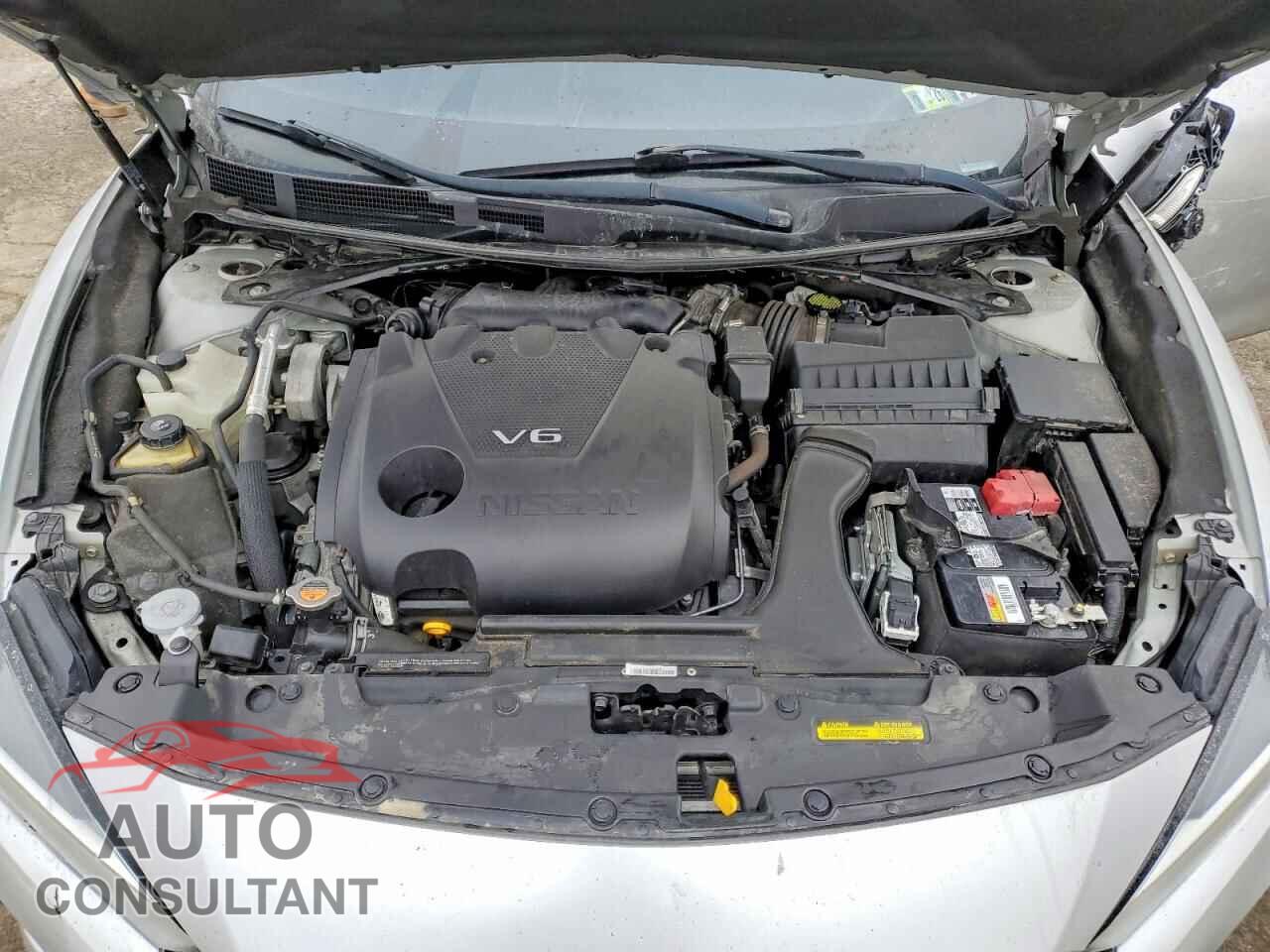 NISSAN MAXIMA 2020 - 1N4AA6CV5LC360448