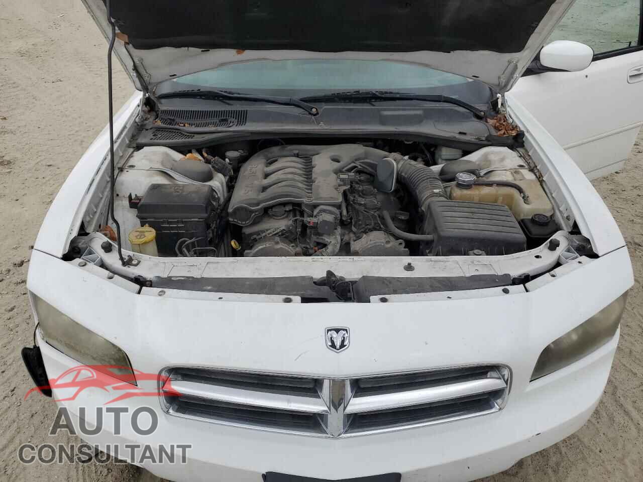 DODGE CHARGER 2010 - 2B3CA9CV2AH291492