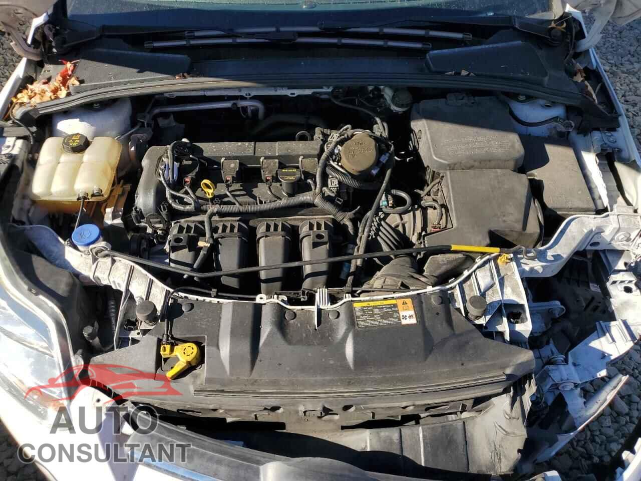 FORD FOCUS 2013 - 1FADP3K28DL382530