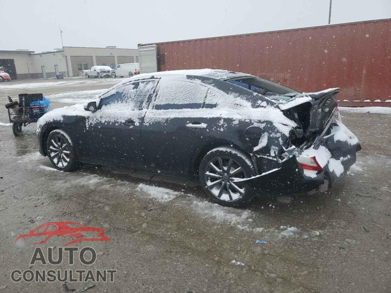 NISSAN MAXIMA 2009 - 1N4AA51E99C810155
