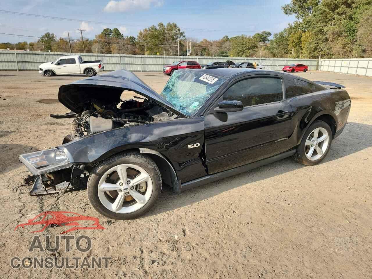 FORD MUSTANG 2012 - 1ZVBP8CF8C5259455