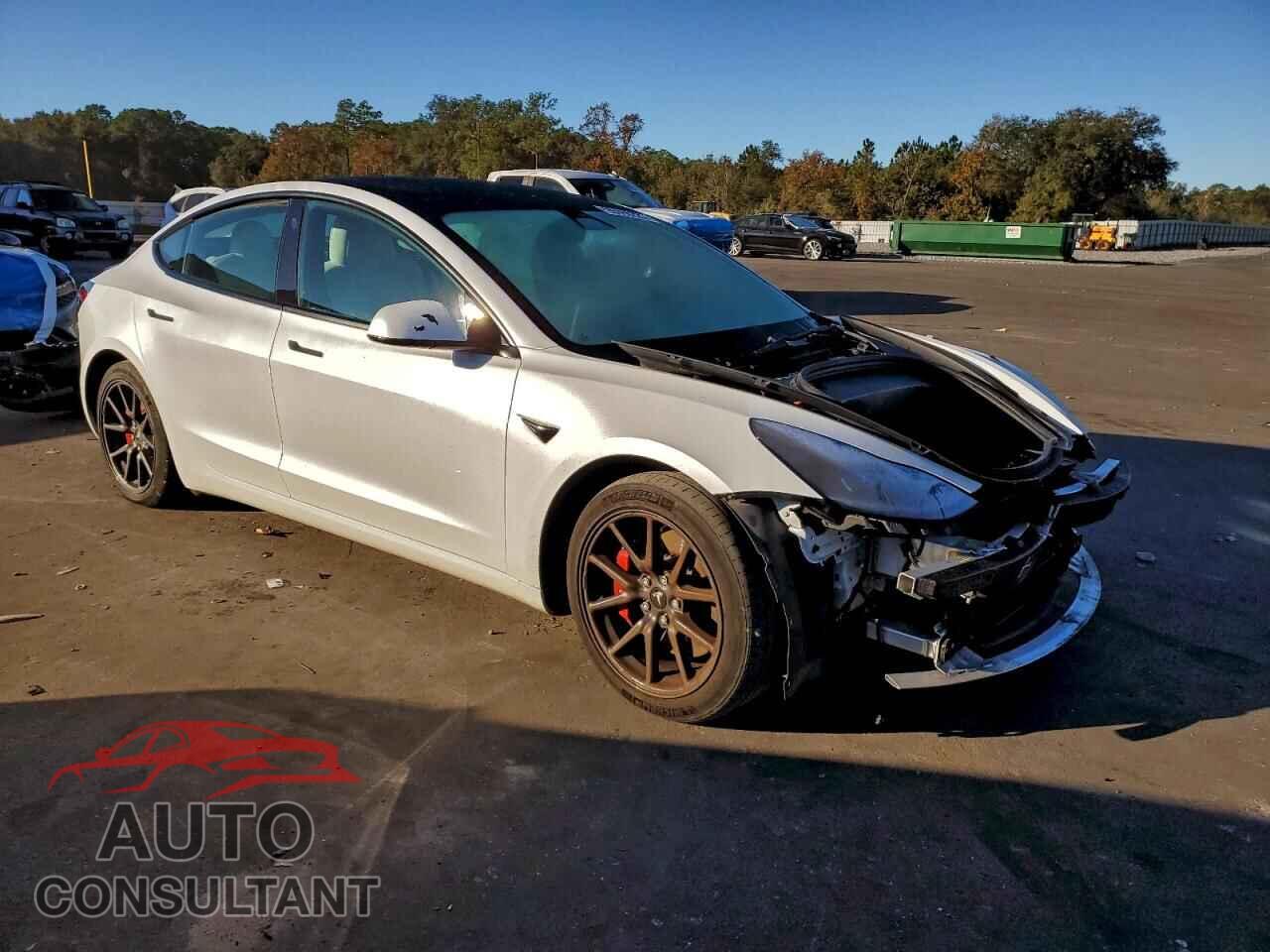 TESLA MODEL 3 2021 - 5YJ3E1EC5MF991940
