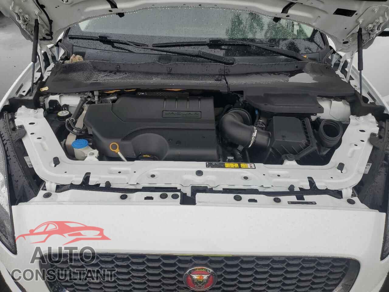 JAGUAR ETYPE 2020 - SADFK2FX2L1Z75994